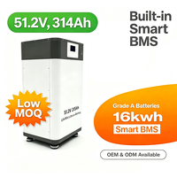 Batterie solaire LiFePO4 51,2 V 314 Ah 16 kW 15 kWh 48 V à faible MOQ avec BMS intégré, pack de batteries lithium LiFePO4 48 V 16 kWh