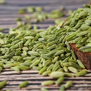Fornitura di cibo medicinale cinese materiale verde semi di finocchio di anice