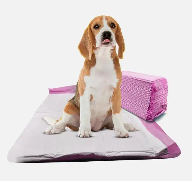 Quick Delivery High Quality Luxury Pet Training Floor Fast Drying Pee Pads For Dogs