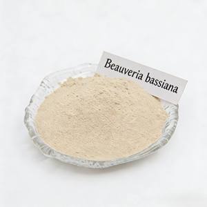 ยิดา ไบโอเทค น้ำยาปรับสภาพดินจากธรรมชาติ บิวเวอเรีย บาสเซียนา ฮิวมิก แอซิด ช่วยปรับปรุงดินสำหรับสวนผลไม้ ควบคุมแมลงได้อย่างมีประสิทธิภาพ - Product Image 2