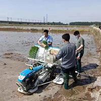 Planteuse de riz de type ride Paddy 6 rangées Mini planteuses de riz avec roue épaisse