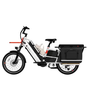 Yeni tasarım 2 tekerlek aile yağ lastik elektrikli kargo bisikleti 1000W yağ lastik Cargobike ile IoT