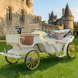Carruaje Turístico Personalizado de Alta Calidad, Carruaje Eléctrico para Bodas y Turismo, Carruaje Turístico de Lujo, Venta Directa de Fábrica - Product Image 1