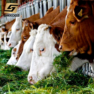 Nouvel équipement à chaud de porte de verrouillage de tête de ferme de <span class=keywords><strong>vache</strong></span> superposée simple avec outils et <span class=keywords><strong>abreuvoir</strong></span> de clôture alimentaire pour le bétail à vendre - Product Image 1