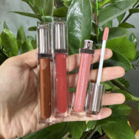 Gloss à lèvres personnalisé avec logo, texture scintillante longue tenue, marque personnalisée, gloss à lèvres liquide tendance