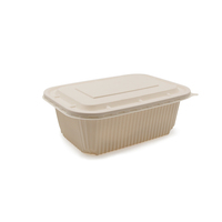 Boîtes alimentaires carrées jetables biodégradables en amidon de maïs, à cellule unique, épaisseur 2 mm, procédé thermoformage pour usage industriel, personnalisables