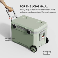 Glacière portable moderne de 45 L avec roues, nouveau design, glacière rectangulaire pour le camping, pour le stockage de la bière, des aliments et des fruits