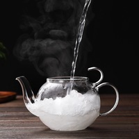 Théière en verre soufflé à la main NOVATIVE 300ML 700ML, écologique, résistante à la chaleur, transparente, avec infuseur en verre