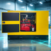 Générateur à gaz naturel/générateur au propane/générateurs à turbine à gaz biomasse/générateur GPL 30 kW à commande intelligente 40 kW 50 kW 60 kVA