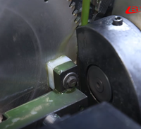 Machine de meulage d'angle latéral entièrement automatique MLC-300J (bras robotisé)