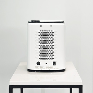 Une complication de la dysfonction de drainage des mucosités respiratoires peut être soulagée grâce à une thérapie au sel de roche naturel - Product Image 3