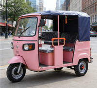 Tricycle Passager 6 Places Cabine Ouverte Véhicule à Trois Roues Batterie au Lithium Meilleur Prix