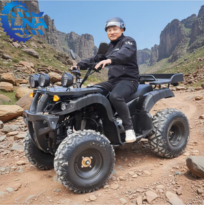 Cuatrimotos LNA de 250cc listas para enviar, piezas disponibles para adultos, listas para alquilar - Product Image 2