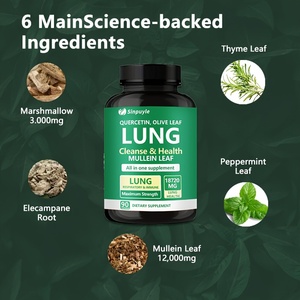 Cápsulas de Extracto de Hoja de Gordolobo Orgánico para Limpieza Pulmonar, Suplemento Natural a Base de Hierbas para Fumadores, Disponible en EE. UU. - Product Image 3