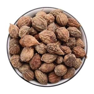 Yi zhi famoso tempero medicina tradicional comestível Alpinia oxyphylla sementes para venda - Product Image 1