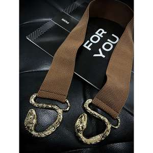 Cinturón Elástico con Hebilla de Serpiente Dorada para Mujer, Estilo Y2K, Cinturón Metálico con Herrajes de Aleación, Accesorio de Moda - Product Image 1