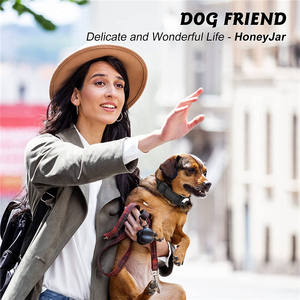 Collar para Perro Reflectante con Rayas, Bonito y Ajustable, de Nailon, con GPS, Rastreador de Entrenamiento, AirTag y Hebilla - Product Image 3