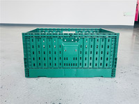 Groothandel Lichtgewicht Duurzame Opvouwbare Container Inklapbare Geperforeerde Plastic Stapelbare Recyclebare Groene Ecologische Fruitcontainer