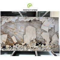 Incroyable dalle de quartzite naturelle Patagonia Pandora de luxe brésilienne polie pour projet de villa de luxe hôtel