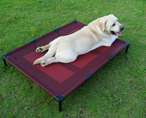 중국 공장 직접 섬유 개 침대 공장 가격 인쇄 패턴 판지 포장 야외 애완 동물 매트 제기 - Product Image 6