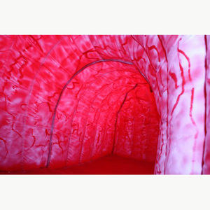 Modelo Anatómico Inflable Gigante <span class=keywords><strong>de</strong></span> Estómago en Tela Oxford para Exhibición Educativa sobre Salud Digestiva - Product Image 6