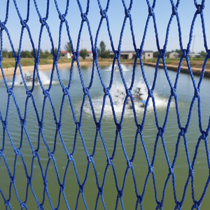 <span class=keywords><strong>Filet</strong></span> <span class=keywords><strong>de</strong></span> pêche <span class=keywords><strong>professionnel</strong></span> en <span class=keywords><strong>filet</strong></span> <span class=keywords><strong>de</strong></span> chalut, <span class=keywords><strong>prix</strong></span> d'usine pour l'aquaculture, <span class=keywords><strong>filet</strong></span> <span class=keywords><strong>de</strong></span> pêche <span class=keywords><strong>de</strong></span> haute qualité, maille large, RGSN 380D, épaisseur 0,32 mm-5 mm, polyester - Product Image 6