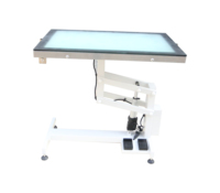 Table de toilettage professionnelle pour animaux de compagnie en acier inoxydable, pliable, électrique, avec fonction de levage et de coupe, design LED