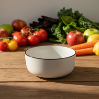 Service de table contemporain en grès |   Assiettes et tasses en céramique blanche émaillée |   Compatible four et lave-vaisselle, résistant à la chaleur