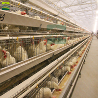 GREAT FARM Offre Spéciale : Poulaillers en Acier et Bâtiments d'Élevage pour Cages Automatiques de Poules Pondeuses et en Batterie, Neufs et d'Occasion