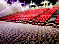 Tapis Imprimé Aéroport Hôtel Théâtre Cinéma Tapis Tufté Main Nylon Salle de Cinéma Tapis