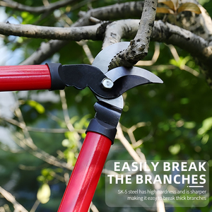 Top Ranking DIY Garden Tools Stainless Steel Bypass <strong>Pruners</strong> Secateurs Clippers Loppers Hedge Scissors For Fruit &amp; Tree Pruning - Product Image 4