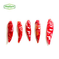 Poivre de Cayenne Rouge Séché Brut avec Processus de Séchage par Ventilation