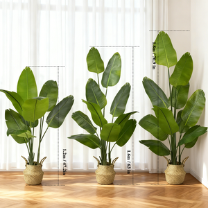 Plante artificielle réaliste Oiseau de <span class=keywords><strong>paradis</strong></span> de 1,2 m/1,5 m/1,8 m, grande plante d'intérieur en soie pour salon, bureau, chambre à coucher, décoration de la maison - Product Image 2