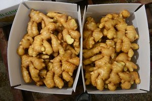 <span class=keywords><strong>Prix</strong></span> de gros du <span class=keywords><strong>gingembre</strong></span> séché pour les légumes frais par kilogramme en Chine - Product Image 3