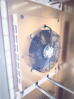 Armoire de séchage à air commerciale pour canards rôtis / Vitrine réfrigérée pour canards / Armoire de conservation de la peau de canard