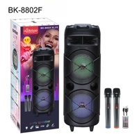 Altoparlante Surround Ricaricabile Personalizzato 20W, Doppio Woofer da 8 Pollici con Magnete da 60mm, Batteria da 2400mAh, 2 Microfoni Wireless, FM, USB, TF, TWS