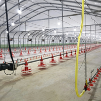 Équipement d'élevage de volailles pour fermes avicoles : Ligne d'alimentation et d'abreuvement pour poulets de chair