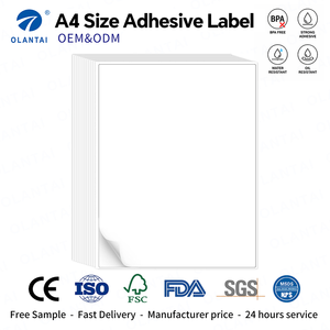 Papel Autoadhesivo A4 Fácil <span class=keywords><strong>de</strong></span> Despegar, Hojas <span class=keywords><strong>de</strong></span> Etiquetas Blancas Imprimibles Sin Madera para Oficina, Escuela y Marcado <span class=keywords><strong>de</strong></span> Almacenes - Product Image 1