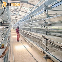 Cage à poulets de type H galvanisée à 60 000 couches, équipement d'élevage avicole automatique pour le Nigéria