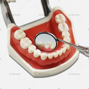 Riflettore per bocca anteriore 85% ultra definizione con rivestimento in rodio strumenti per esame orale autoclavabili - Product Image 4