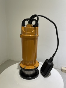 ปั๊มน้ำสะอาด750W 1HP qdx 220V 50Hz สำหรับบ้านของครอบครัวชลประทาน Bomba <span class=keywords><strong>Sumergible</strong></span> - Product Image 3