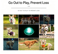 Pendentif lumineux LED pour animaux de compagnie, collier pour chien, étiquette lumineuse d'avertissement, résine plastique, sécurité pour les promenades nocturnes