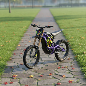 Moto tout-terrain <span class=keywords><strong>Sur</strong></span> <span class=keywords><strong>Ron</strong></span> Light Be 10000W, vitesse maximale de 80 km/h, quatre couleurs au choix pour adultes - Product Image 6