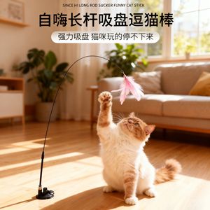 ของเล่นแมว คันเบ็ดตกปลา ขนนกแบบเปลี่ยนหัวได้ ของเล่นแก้เบื่อสำหรับสัตว์เลี้ยง ของเล่นแบบมีปฏิสัมพันธ์ - Product Image 3