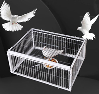 Piège à oiseaux métallique avec trappe et puits de lumière, entrée unidirectionnelle sans sortie pour la sécurité des pigeons, clôture traitée thermiquement