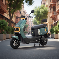 Nouveau Scooter Électrique 1000W 2 Places 2026 avec Frein à Disque pour la Mobilité Urbaine – Vente en Gros