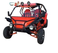 Dune Buggy promotionnel 2 places bon marché Go Kart à essence 200cc pour adultes de fabrication professionnelle