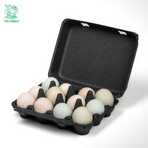 Cartones <span class=keywords><strong>de</strong></span> Pulpa Biodegradable al por Mayor, Vacíos, <span class=keywords><strong>de</strong></span> 3x4, con 12 Cavidades Cuadradas, para Huevos <span class=keywords><strong>de</strong></span> Gallina, para Transporte y Empaque, Proveedor - Product Image 3