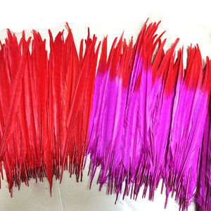 Plumes <span class=keywords><strong>de</strong></span> Faisan à Col Anneau Bicolores <span class=keywords><strong>de</strong></span> 16-18 Pouces pour Costumes <span class=keywords><strong>de</strong></span> <span class=keywords><strong>Carnaval</strong></span> <span class=keywords><strong>de</strong></span> Trinité 2025 – Fournitures <span class=keywords><strong>de</strong></span> Plumes Décoratives - Product Image 2