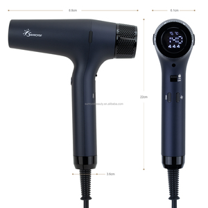 Sèche-cheveux professionnel 2300W OEM ODM BSCI, usine de sèche-cheveux certifiée CE, moteur BLDC 110000 tr/min, sèche-cheveux ionique, vente en gros - Product Image 2